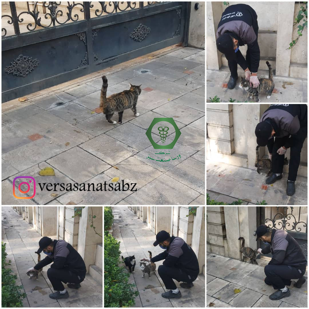 گربه گیری، زنده گیری حیوانات، حمایت از حیوانات